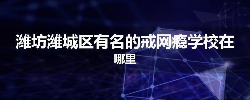 潍坊潍城区有名的戒网瘾学校在哪里