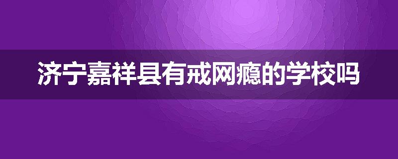 济宁嘉祥县有戒网瘾的学校吗