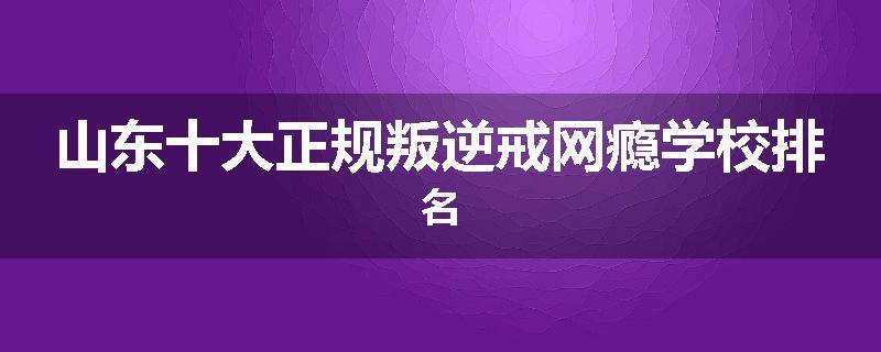 山东十大正规叛逆戒网瘾学校排名