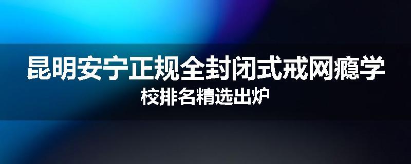 昆明安宁正规全封闭式戒网瘾学校排名精选出炉