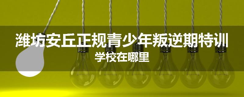 潍坊安丘正规青少年叛逆期特训学校在哪里