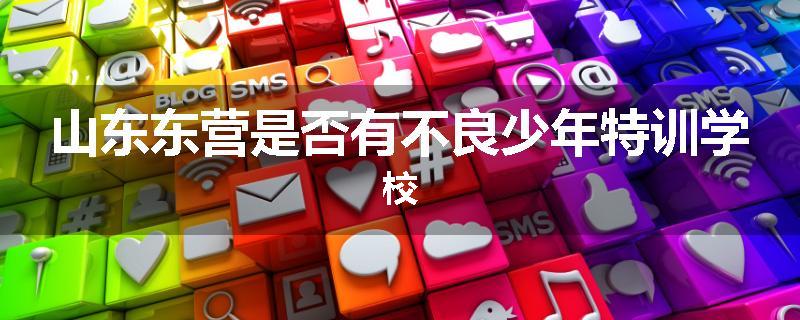 山东东营是否有不良少年特训学校