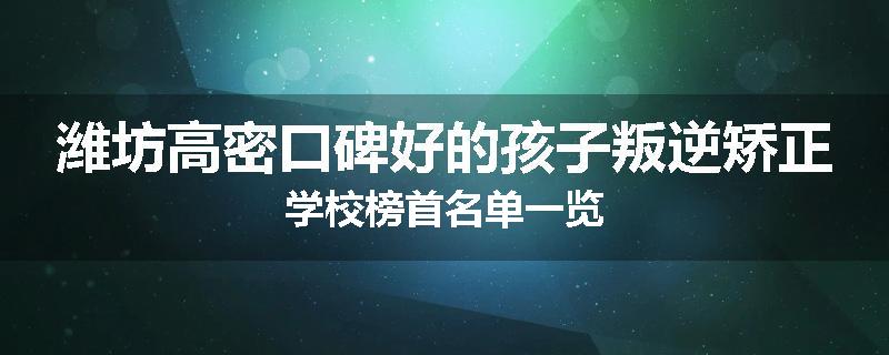 潍坊高密口碑好的孩子叛逆矫正学校榜首名单一览