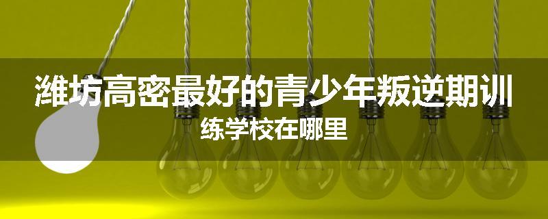 潍坊高密最好的青少年叛逆期训练学校在哪里