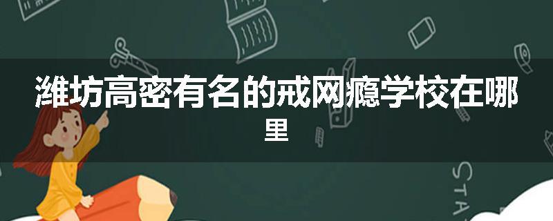 潍坊高密有名的戒网瘾学校在哪里