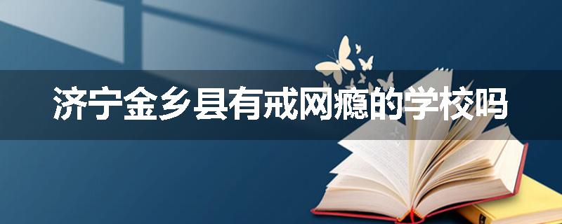 济宁金乡县有戒网瘾的学校吗