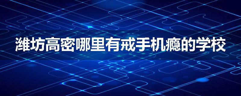 潍坊高密哪里有戒手机瘾的学校