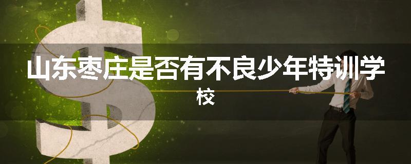 山东枣庄是否有不良少年特训学校