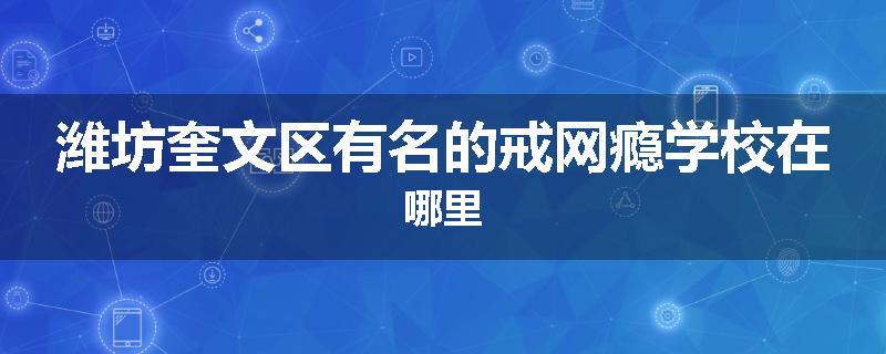 潍坊奎文区有名的戒网瘾学校在哪里