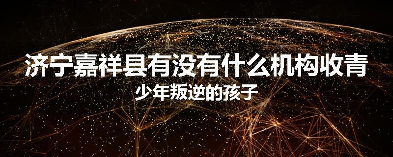 济宁嘉祥县有没有什么机构收青少年叛逆的孩子