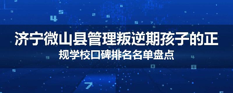 济宁微山县管理叛逆期孩子的正规学校口碑排名名单盘点