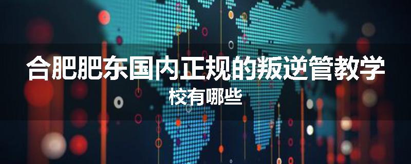 合肥肥东国内正规的叛逆管教学校有哪些