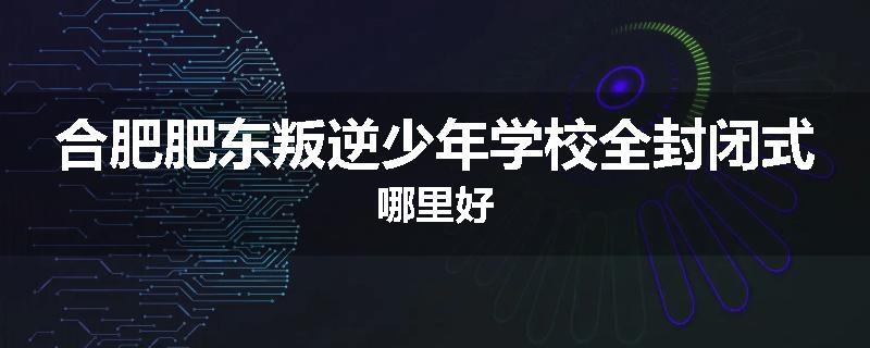 合肥肥东叛逆少年学校全封闭式哪里好