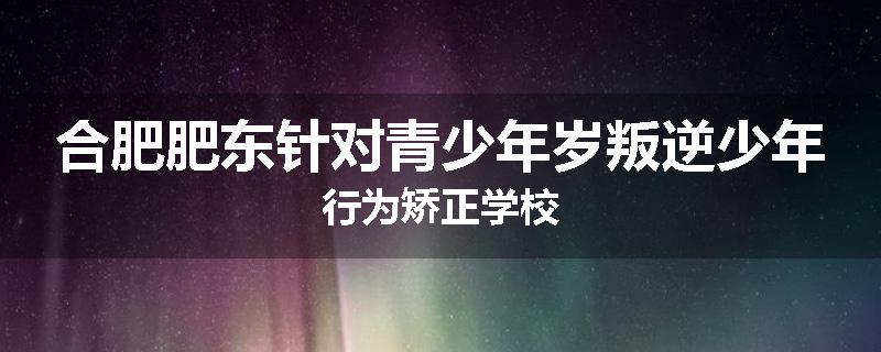 合肥肥东针对青少年岁叛逆少年行为矫正学校