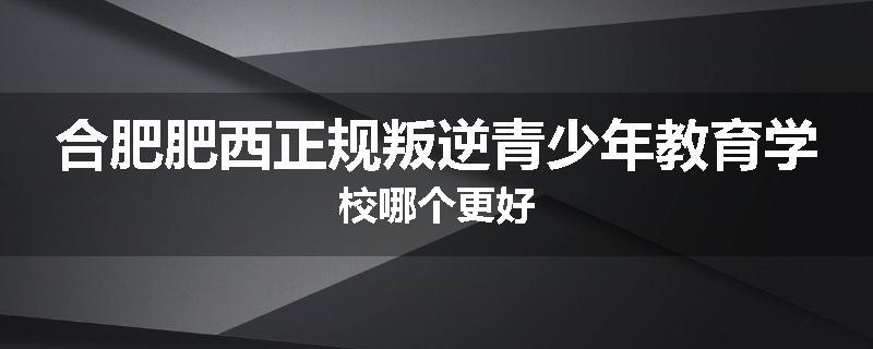 合肥肥西正规叛逆青少年教育学校哪个更好