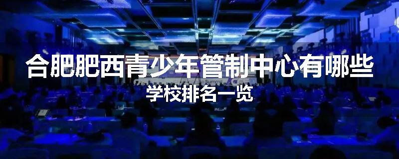 合肥肥西青少年管制中心有哪些学校排名一览