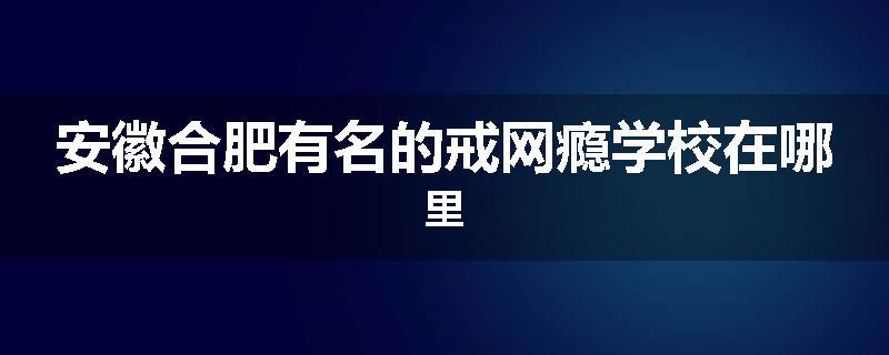 安徽合肥有名的戒网瘾学校在哪里