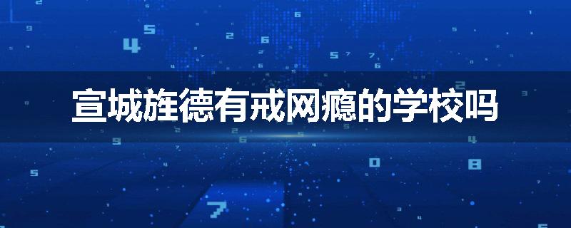 宣城旌德有戒网瘾的学校吗