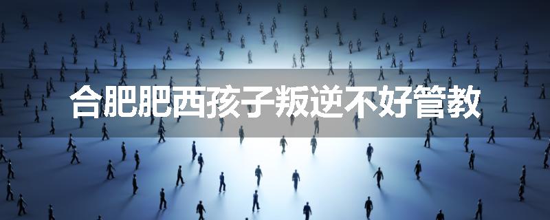合肥肥西孩子叛逆不好管教