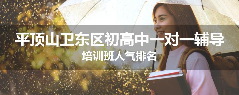 平顶山卫东区初高中一对一辅导培训班人气排名