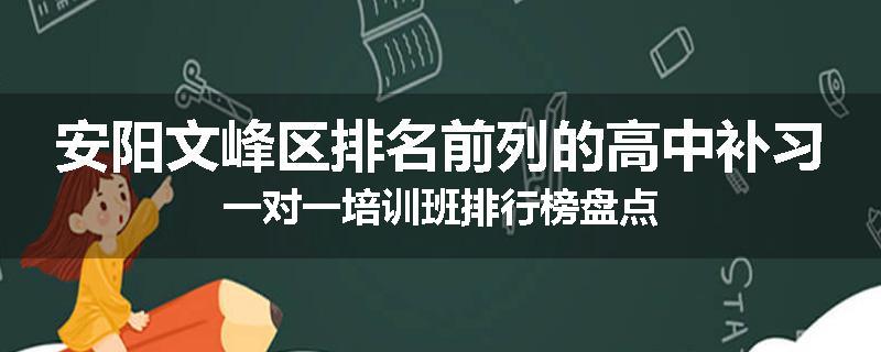 安阳文峰区排名前列的高中补习一对一培训班排行榜盘点