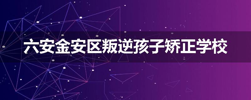 六安金安区叛逆孩子矫正学校