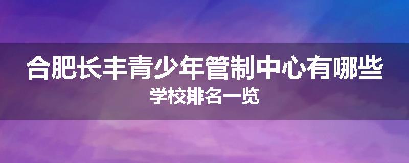 合肥长丰青少年管制中心有哪些学校排名一览