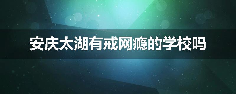 安庆太湖有戒网瘾的学校吗
