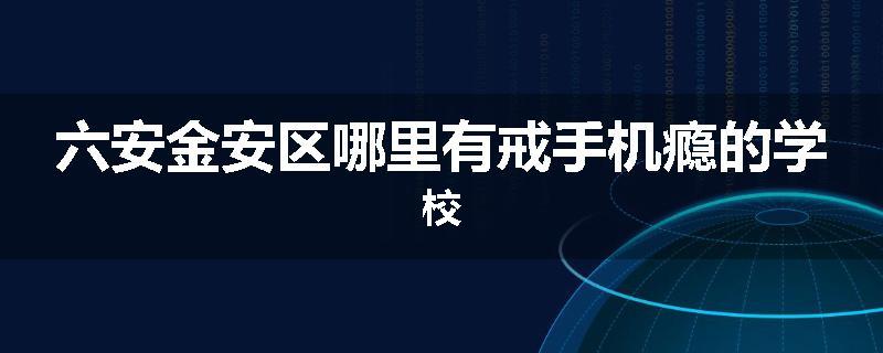 六安金安区哪里有戒手机瘾的学校