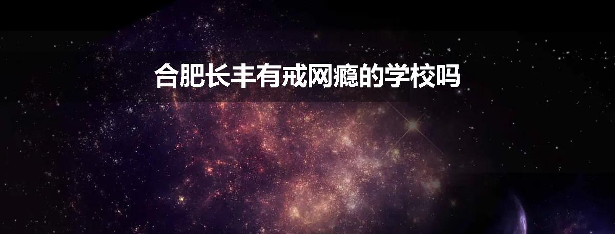 合肥长丰有戒网瘾的学校吗