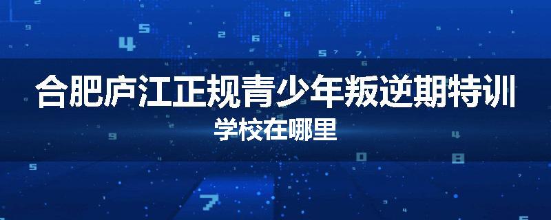 合肥庐江正规青少年叛逆期特训学校在哪里