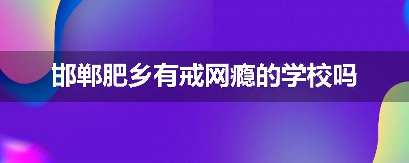 邯郸肥乡有戒网瘾的学校吗
