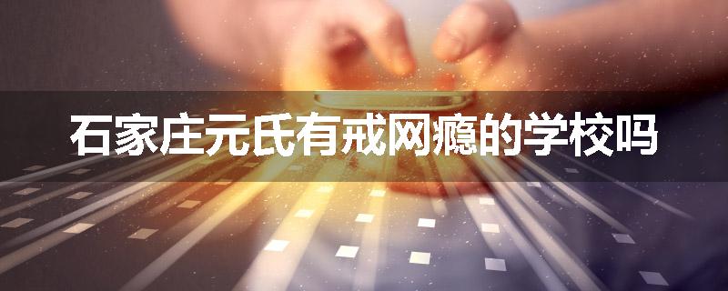 石家庄元氏有戒网瘾的学校吗