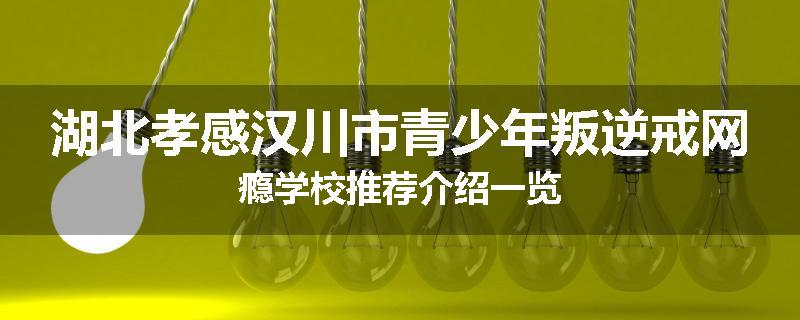湖北孝感汉川市青少年叛逆戒网瘾学校推荐介绍一览