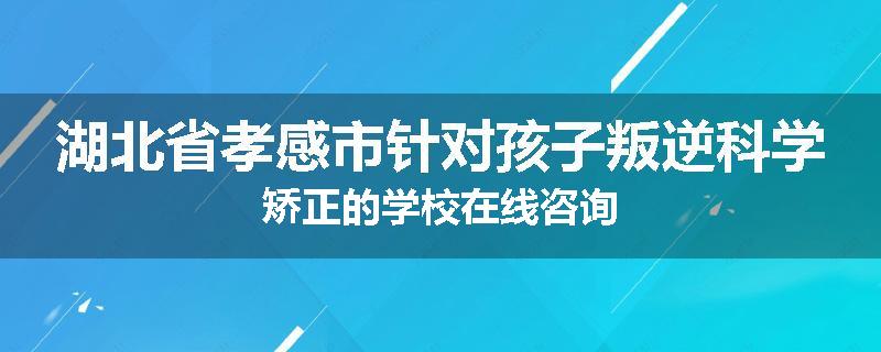 湖北省孝感市针对孩子叛逆科学矫正的学校在线咨询