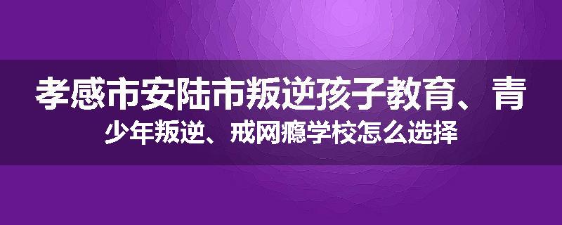 孝感市安陆市叛逆孩子教育、青少年叛逆、戒网瘾学校怎么选择