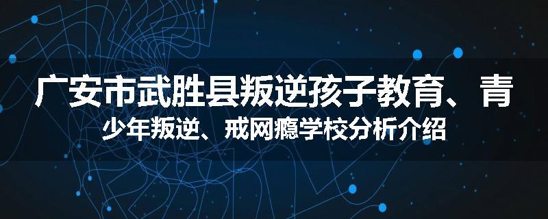 广安市武胜县叛逆孩子教育、青少年叛逆、戒网瘾学校分析介绍