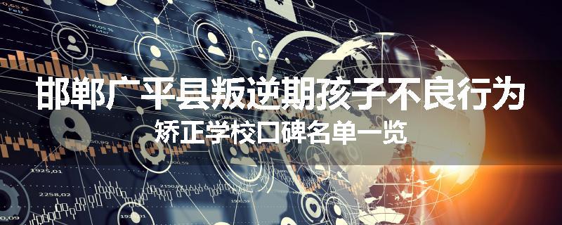 邯郸广平县叛逆期孩子不良行为矫正学校口碑名单一览