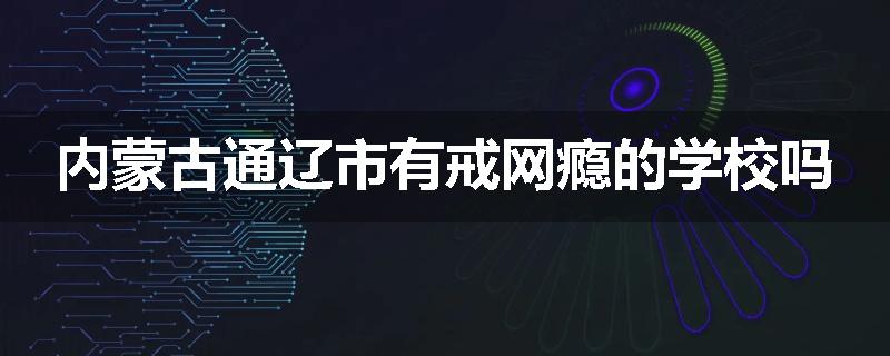 内蒙古通辽市有戒网瘾的学校吗