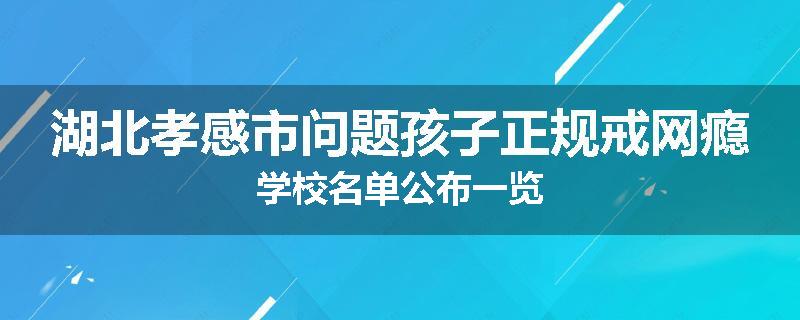 湖北孝感市问题孩子正规戒网瘾学校名单公布一览