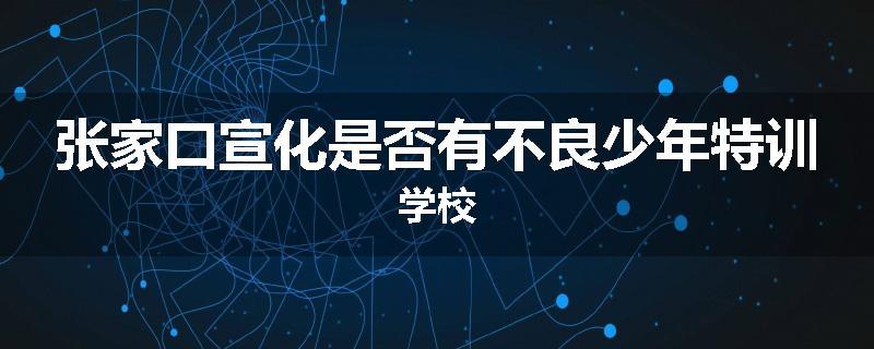 张家口宣化是否有不良少年特训学校