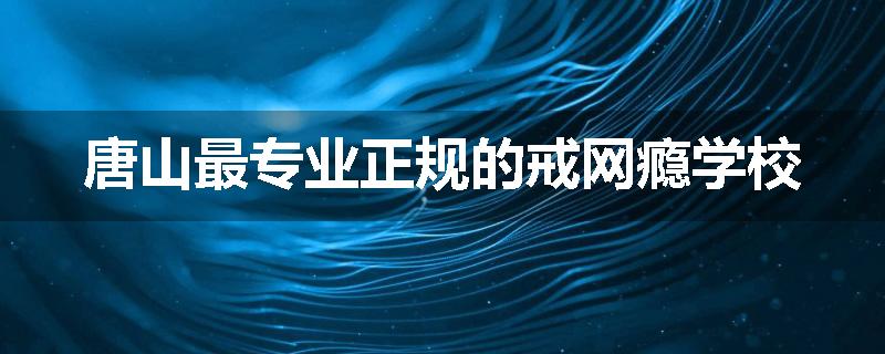 唐山最专业正规的戒网瘾学校