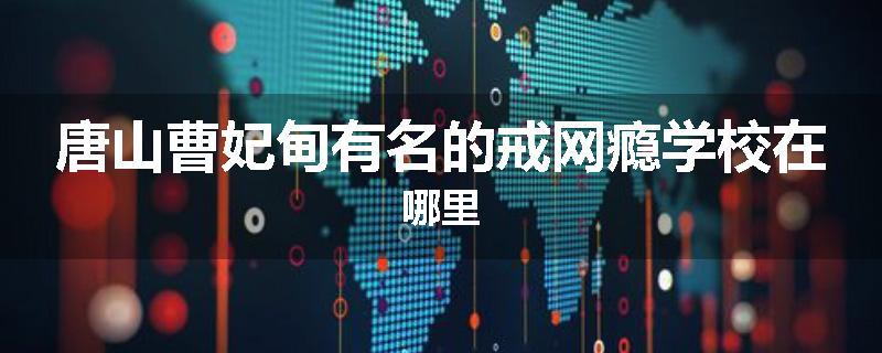 唐山曹妃甸有名的戒网瘾学校在哪里