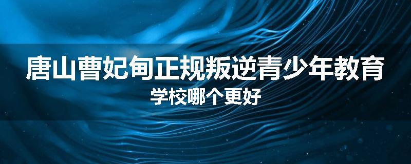 唐山曹妃甸正规叛逆青少年教育学校哪个更好
