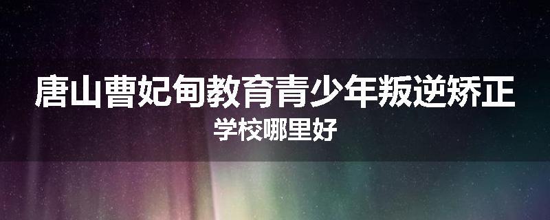 唐山曹妃甸教育青少年叛逆矫正学校哪里好