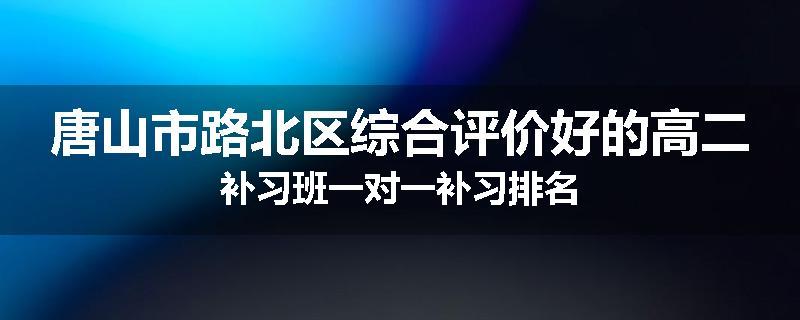 唐山市路北区综合评价好的高二补习班一对一补习排名
