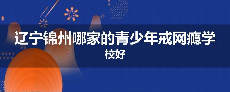 辽宁锦州哪家的青少年戒网瘾学校好