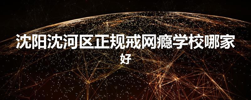 沈阳沈河区正规戒网瘾学校哪家好