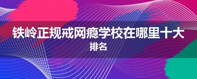 铁岭正规戒网瘾学校在哪里十大排名