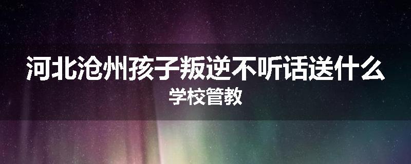 河北沧州孩子叛逆不听话送什么学校管教